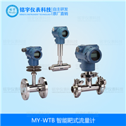 智能靶式流量計  